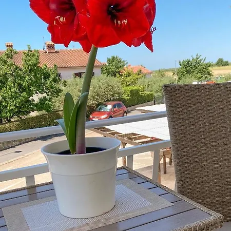 Roberta Novigrad Istria