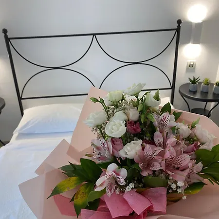 Roberta * Novigrad (Istria)