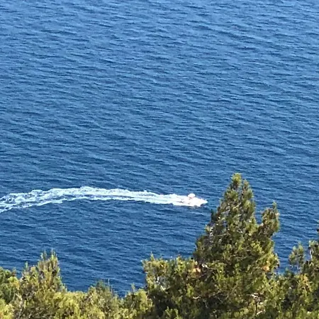 Roberta Novigrad Istria