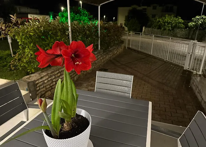 Διαμέρισμα Roberta *