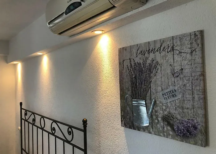 Roberta * Novigrad Istria