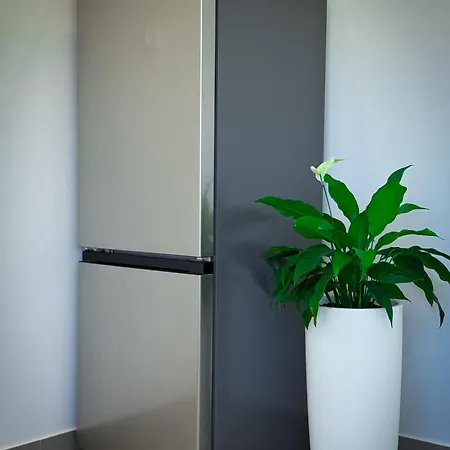 Roberta Apartamento