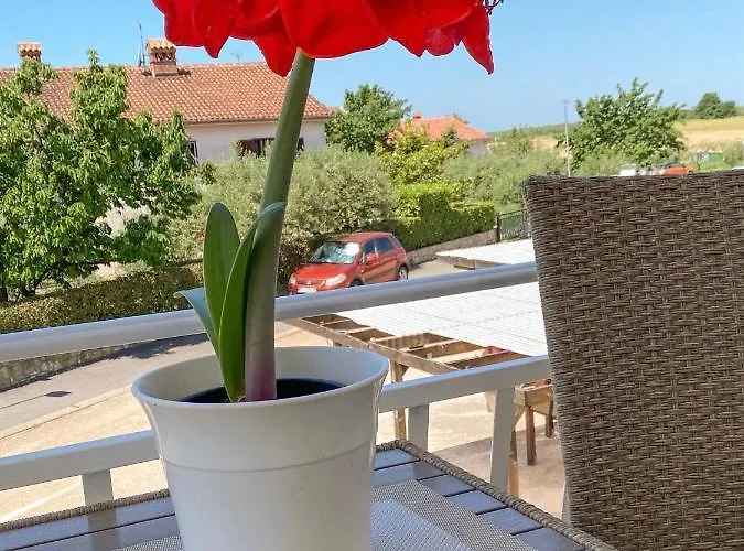 Roberta Novigrad Istria