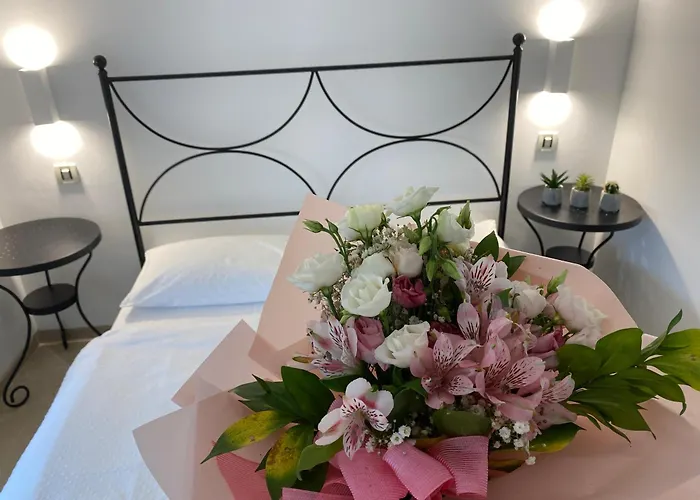 Roberta * Novigrad Istria