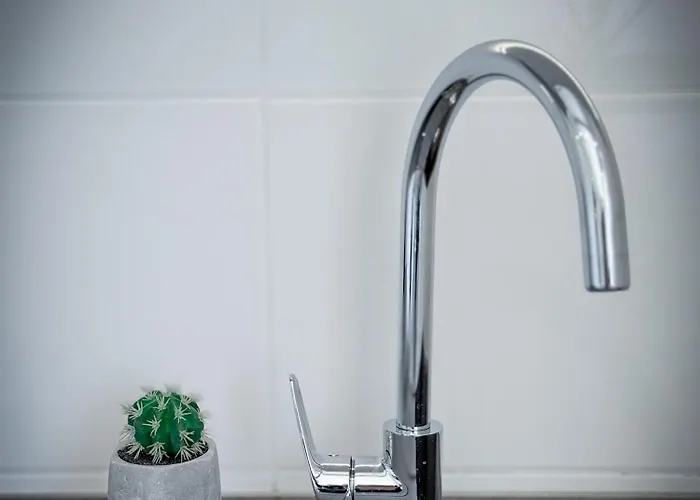 Roberta * Novigrad Istria