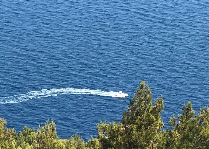 Roberta Novigrad Istria